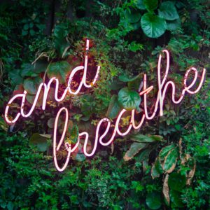 max-van-den-oetelaar-buymYm3RQ3U-unsplashbreath Cropped