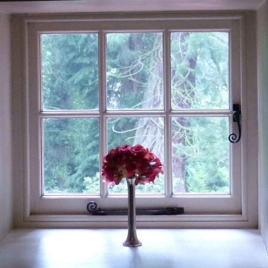 bloem voor raam